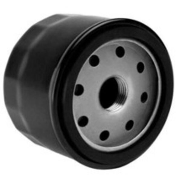 ÕLIFILTER BRIGGS & STRATTON / KOHLER