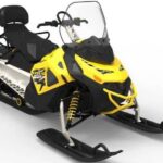 Mootorsaan Stels 800 V-2