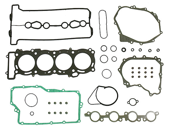 Sno-X Full set W/Oil sealS Yamaha Apex RX10 1000