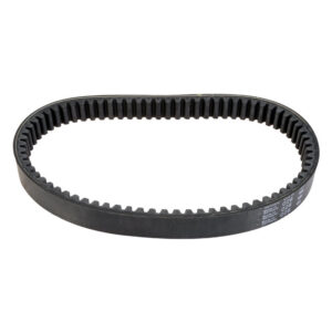 Drive belt, Bellier Divane / Casalini Ydea , (B3211AA1141)