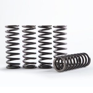 Hinson Clutch Spring Kit- High Temp Set Of 5