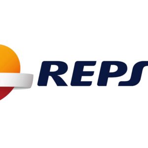 Repsol Smarter V-Twin Custom 4T 20W-50 60L