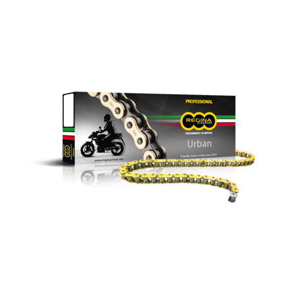Regina 428 EB Chain + Connecting link