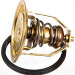 Orbitrade thermostat kit B18, B20, MD2, MD3, MD11, MD17, B30 (55°)