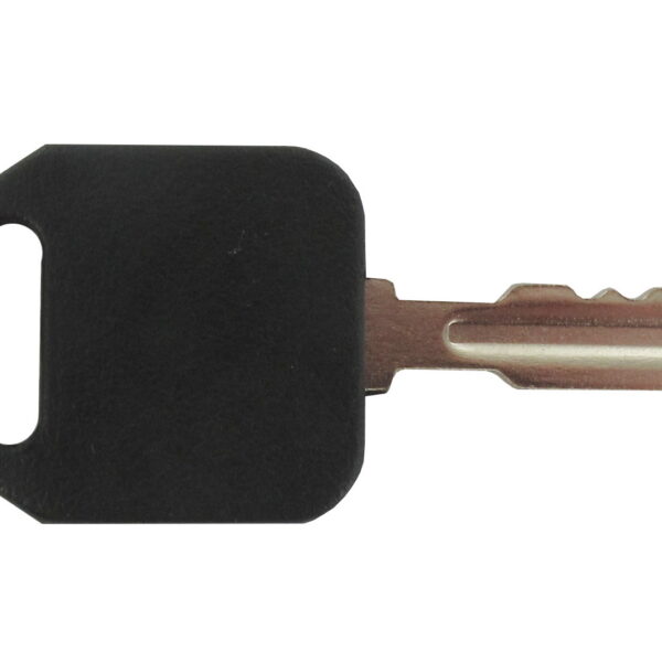 Eurogarden Ignition key (Delta) (2302185)