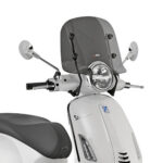 Givi S. S. Piag.Vespa Prim.50-125-15 (14-24)
