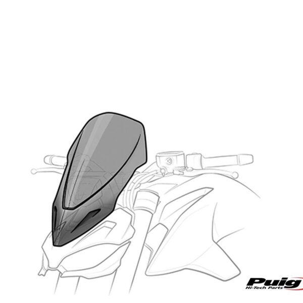 Puig Windshield Ng Touring Bmw S1000R 21'+ Supports
