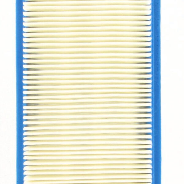 Eurogarden Air filter Honda GXV140 GXV160 / Kohler XT6 XT7 XTR6 XTR7
