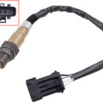 Bronco Oxygen sensor Cf Moto