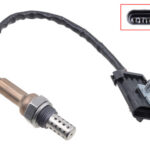 Bronco Oxygen sensor Cf Moto