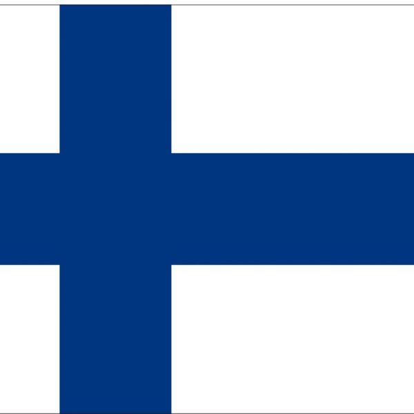 FLAG 20*30