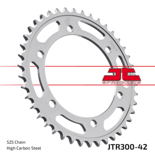 JT Rear Sprocket JTR300.42