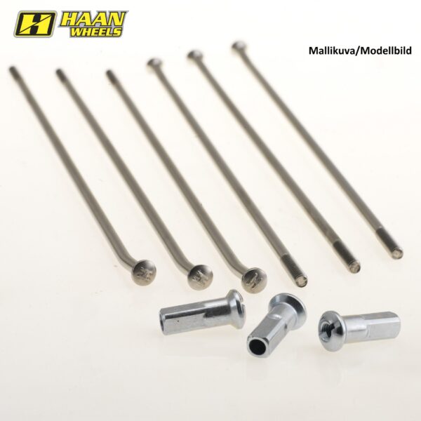 Haan 5x Spoke Silver for Haan hub Rear 19