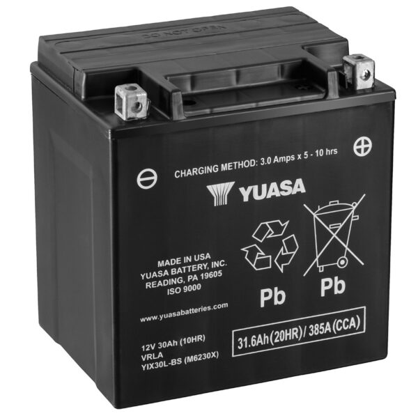 Yuasa Battery YIX30L-BS (cp)