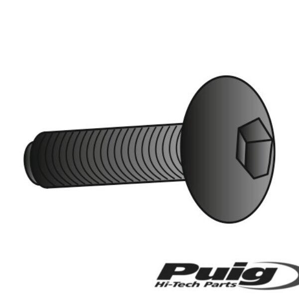 Puig Kit Screws Allen M8X45Mm. C/Green