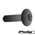 Puig Kit Screws Allen M6X25Mm. C/Gold