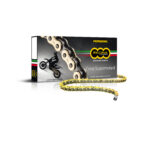 Regina 520 RH2 Chain + Connecting link