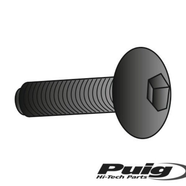 Puig Kit Screws Allen M6X30Mm. C/Purple