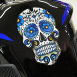 Puig Tank Pad Skull C/Blue