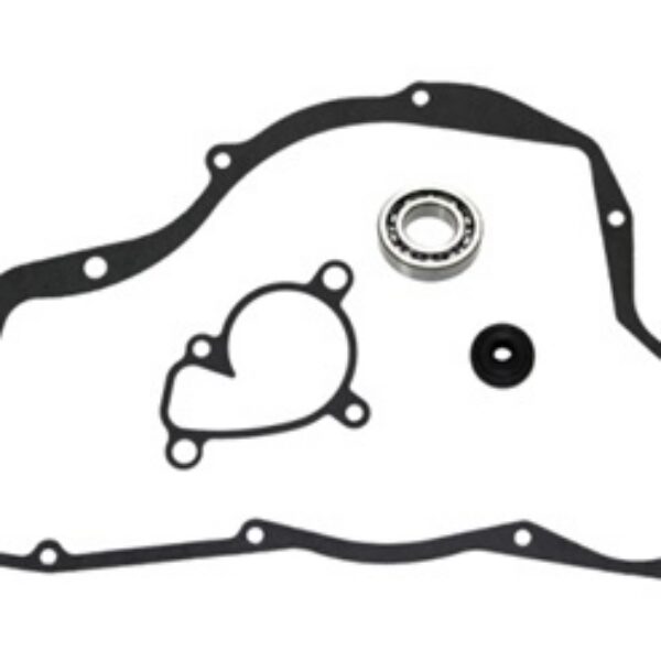 Sixty5 Water pump repair kit RM250 01-08