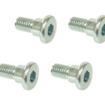 TMV Brake rotor bolt set (4pcs in a set)