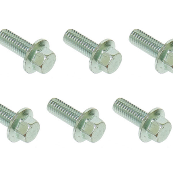 TMV Brake rotor bolt set (6pcs in a set)