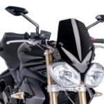 Puig Winds.N.G. Speed Triple 11-15/R 12-15/Street 11-17