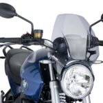 Puig Naked New Generation Bmw R1200R 16-14'C/Smoke