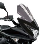 Puig Racing Screen Suzuki Inazuma F 15-17'C/Smoke