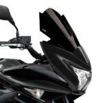 Puig Racing Screen Suzuki Inazuma F 15-17'C/Black