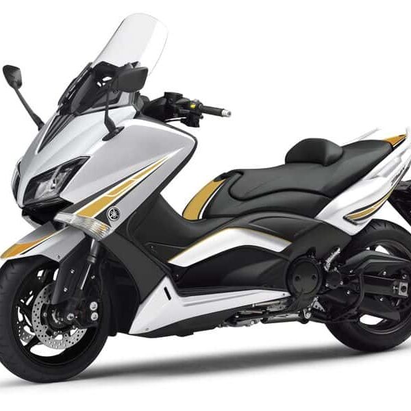 Puig Stickers Kit Tmax 530 15'-16' C/Gold-White