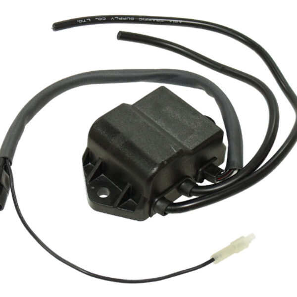 Sno-X CDI-Box Polaris