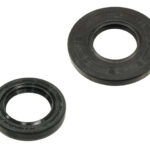 Sno-X Oil sealset Rotax 250 FC