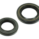 Sno-X Oil sealset Rotax