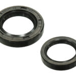 Sno-X Oil sealset Rotax