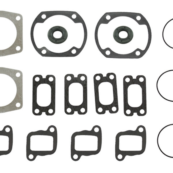Sno-X Full set W/Oil seals Rotax 377