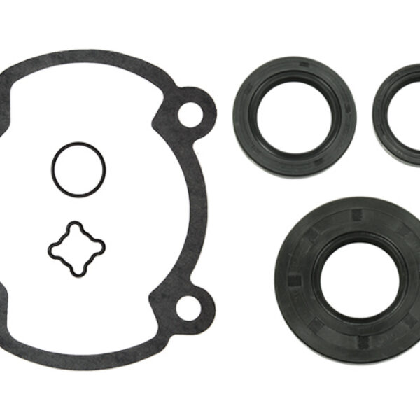 Sno-X Full set W/Oil seals Rotax 250 FC