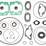 Sno-X Full set W/Oil seals Rotax 500 LC