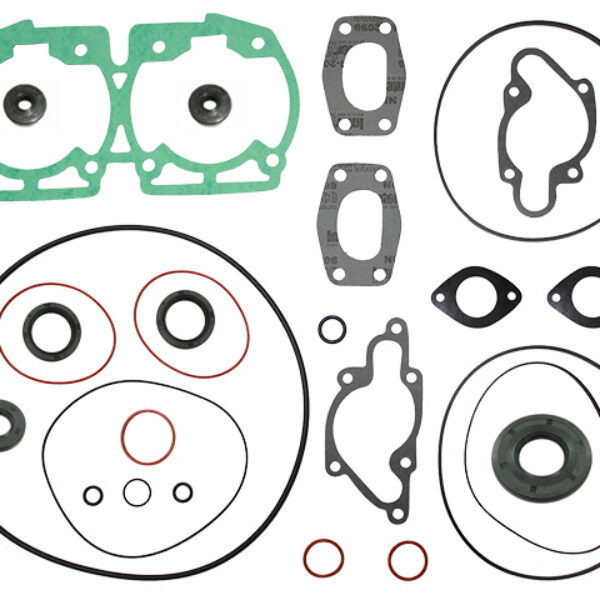 Sno-X Full set W/Oil seals Rotax 500 LC