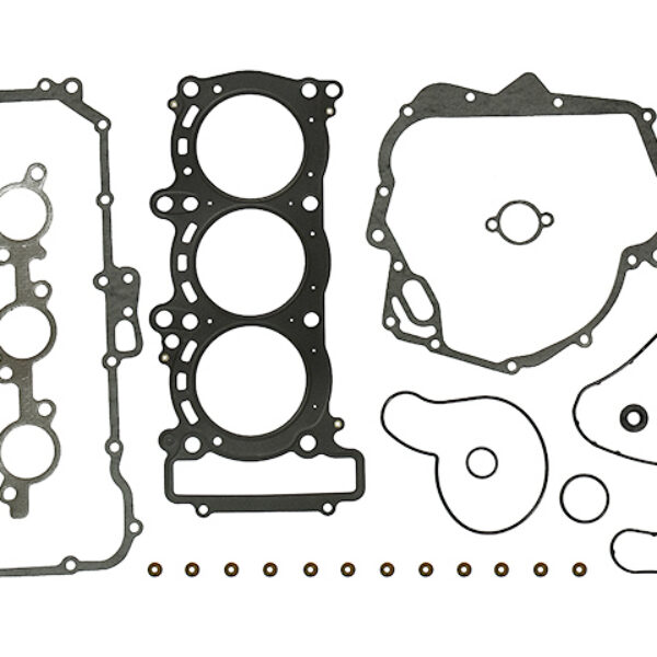Sno-X Full set W/Oil sealS Yamaha RS Vector 973