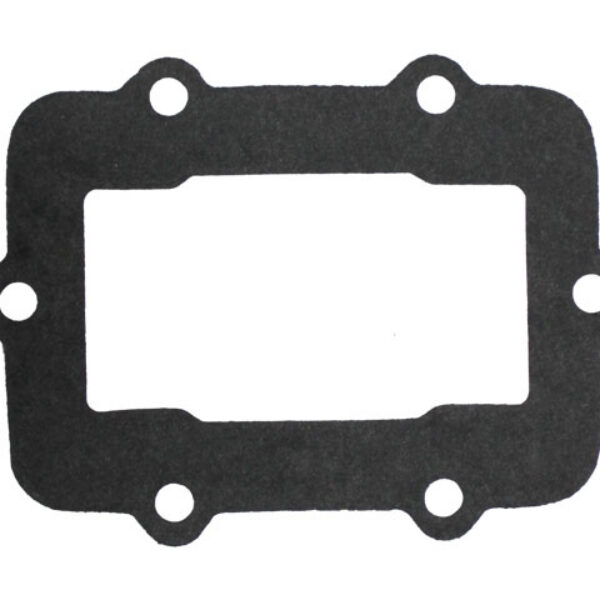 Sno-X Reed gasket Rotax