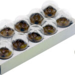 Solero Bulb 6V 5W BA15S