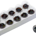 Solero Bulb 12V 23W BA15S