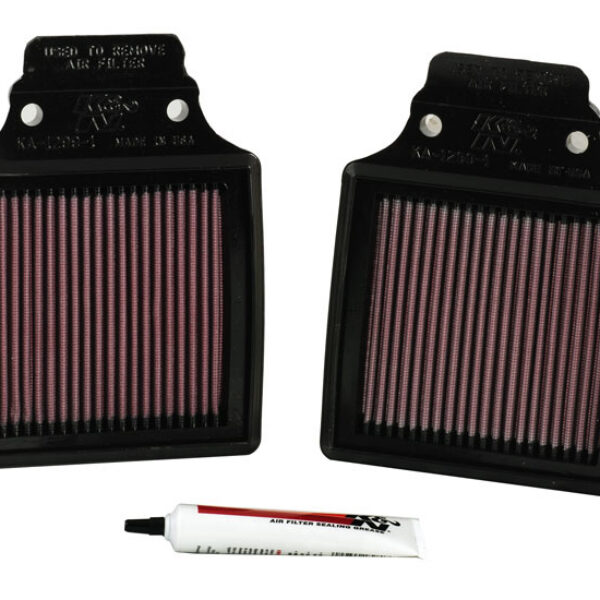 K&N Airfilter ZX12R 00-06