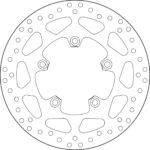 Brembo Serie Oro brakedisc