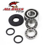 All Balls Differential Bearing & Seal Kit