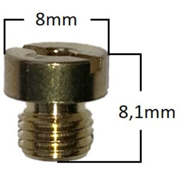 Main Jet # 100 Round 6mm Fits: Dellorto