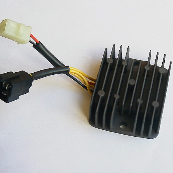 Regulator Suzuki