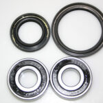 Tourmax Wheel bearing and seal ki 6203-2RS x2 Tätning  25x40x5 1st + 45x56x6 1sn