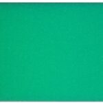 Tract Airfilter Pre-Filter B&S Quantum 3.5-6.5 hp Vert. (Walk)